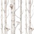 Birch Forest papier peint  280x50cm