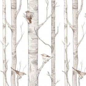 Birch Forest papier peint  280x50cm