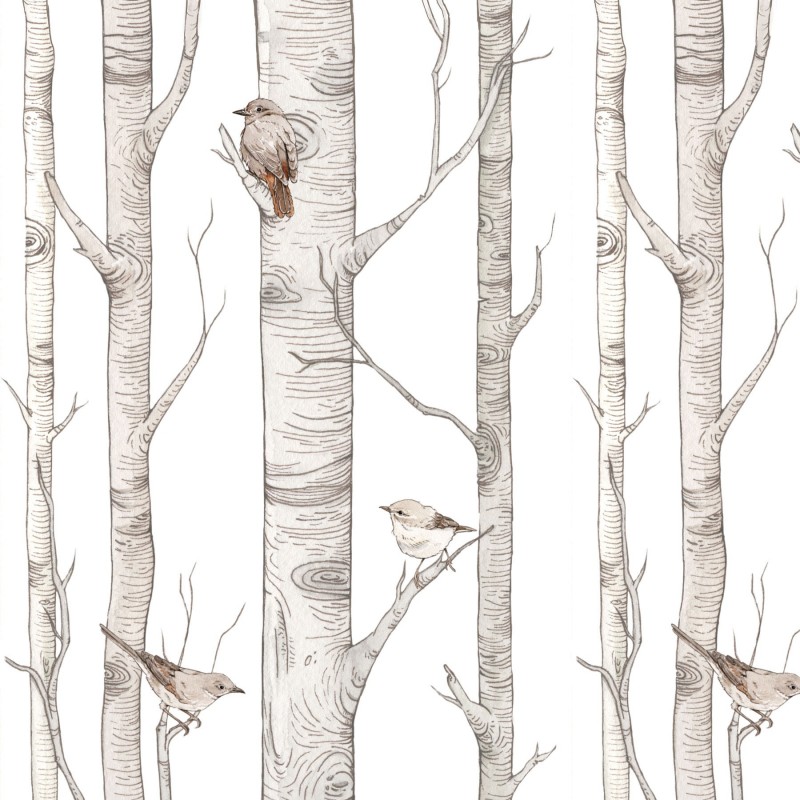 Birch Forest papel de parede  280x50cm