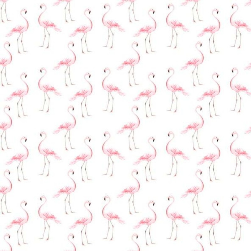 Flamingos Papel de parede  280x50cm