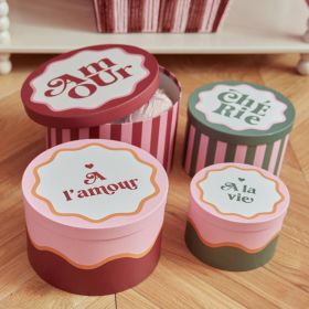 Box Pack mit 4 rosa Anya 15x25x25cm