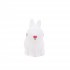LED LAPIN BLANC  DECORATION  The package fits in the elevator: