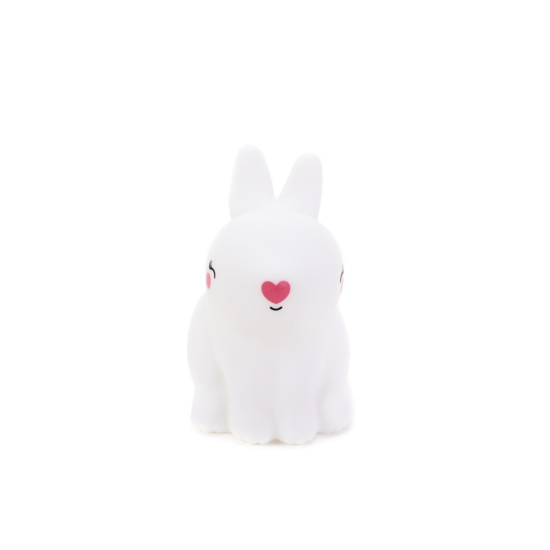LED LAPIN BLANC DECORATION The package fits in the elevator: