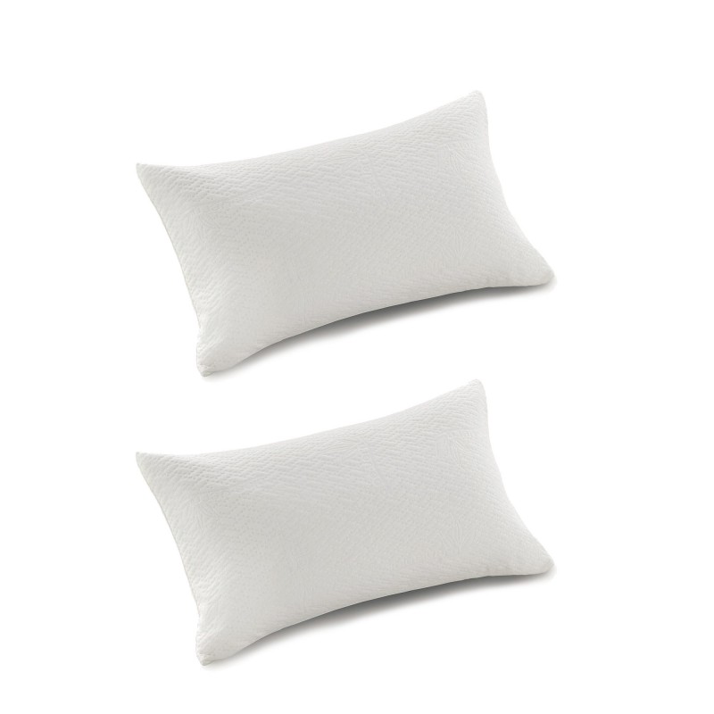 Pack of 2 pillows 100% visco flakes and pur